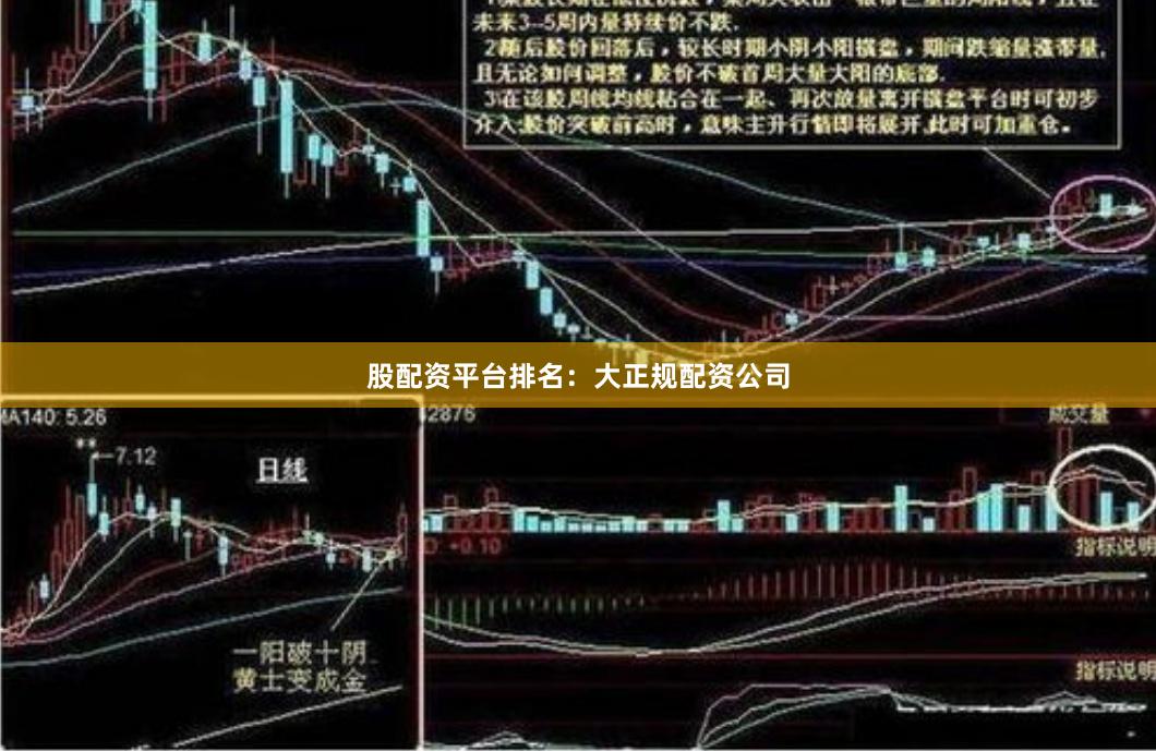 股配资平台排名：大正规配资公司