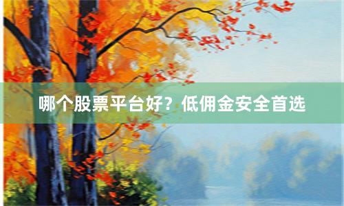 哪个股票平台好？低佣金安全首选